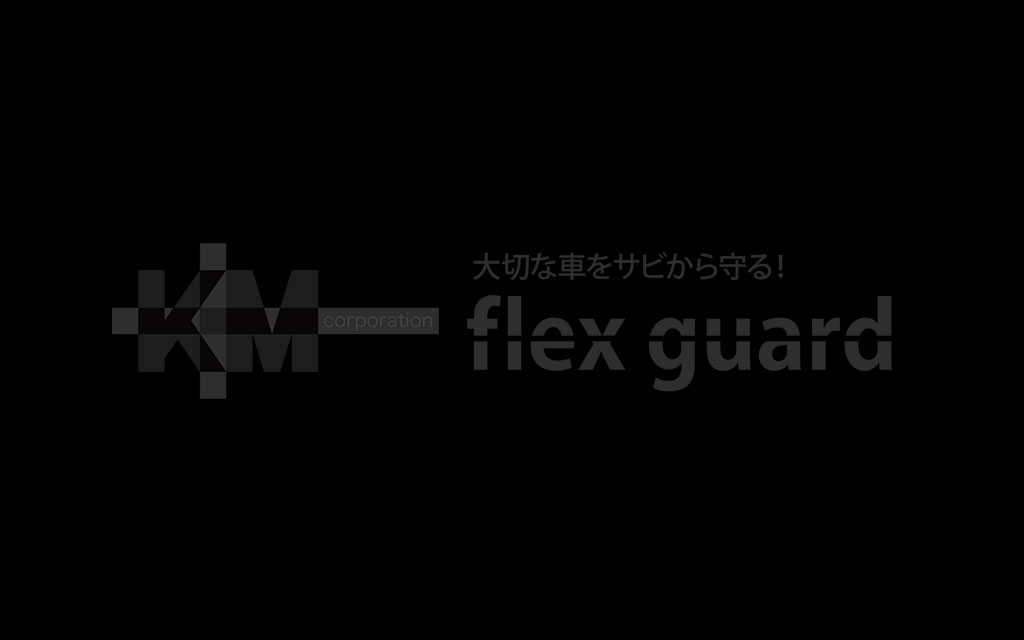 フレックスガード プレミアム10（2022年7月8日）